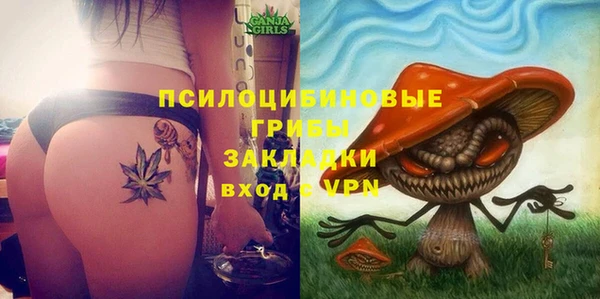 твердый Богородицк